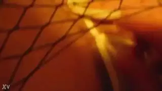 إيراني ألمانية فرو