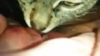 سكس زنوج اولاد وبنات زنجاويات